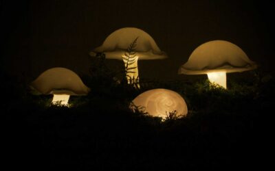 Decomposers Glow at Museum of York County